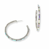 103445, WESTERN RHINESTONE ROUND HOOP EARRING