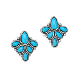 104543, WESTERN RHINESTONE ACCENT POST EARRING