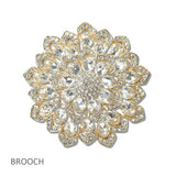 111187, CRYSTAL BOTANICAL BROOCH PIN