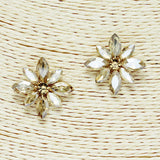 85007, CRYSTAL RHINESTONE EARRING