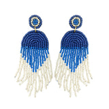 86962, FRINGE SEED BEAD EARRING