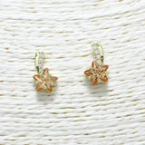 88339, STAR ACCENT CUBIC ZIRCONIA STUD EARRING