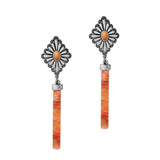 Western Theme with Stone Accent Dangle Earring