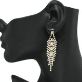 91635, PAVE RHINESTONE DROP EARRING