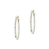 Pave Rhinestone Slim Stainless Steel Hoop Earrings – Gold/Clear · SSE201G_IVY IMG_6234